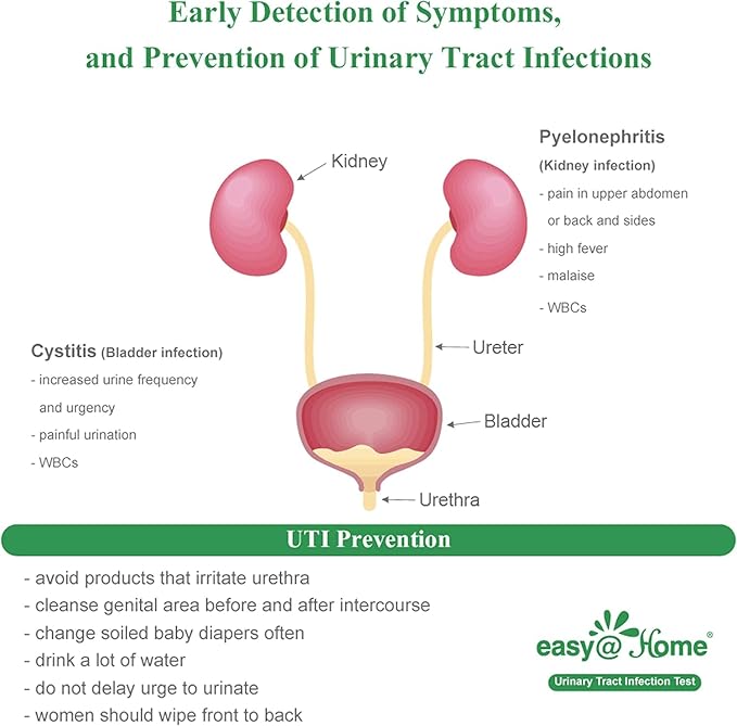 Easy@Home 20 Individual Pouches Urinary Tract Infection FSA Eligible Test Strips (UTI Test Strips) Monitor Bladder or Urinary Tract Issues by Testing Urine, 20 Tests/Box-FDA Cleared (UTI-20P)