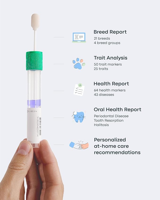 Basepaws Cat DNA Test Kit 2 Pack- Comprehensive Breed, Health and Dental Analysis Across 114 Traits for Accurate and Easy-to-Use Genetic Insights
