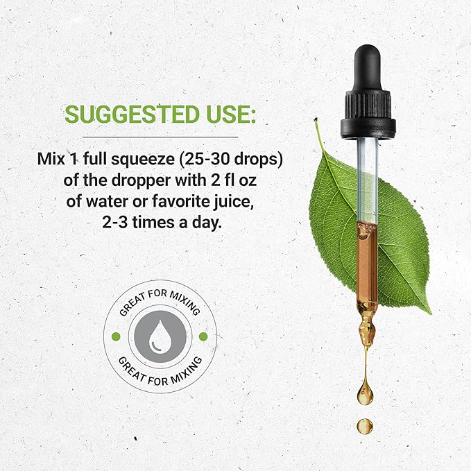 Secrets of the Tribe Ginger Tincture Alcohol-Free Extract, Ginger (Zingiber officinale) Dried Root 2 oz